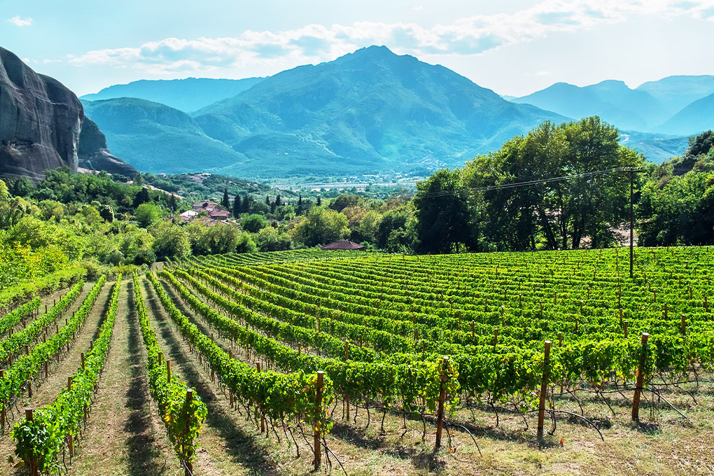 Nemea Wine Country